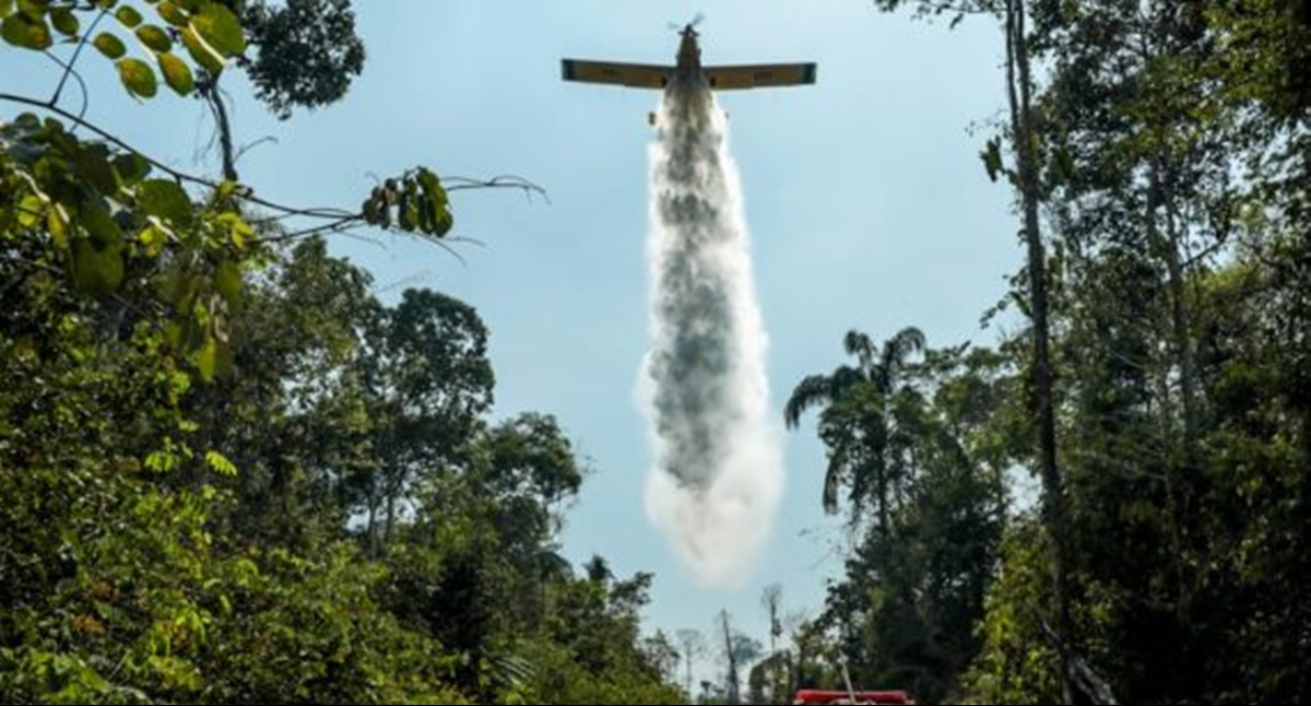 Geoportal utiliza tecnologia para direcionar ações do governo de RO no combate aos incêndios florestais - News Rondônia Geoportal utiliza tecnologia para direcionar ações do governo de RO no combate aos incêndios florestais - News Rondônia