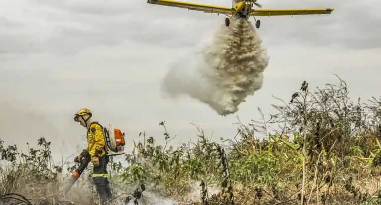 Pantanal: redução da área alagada tem favorecido aumento de incêndios