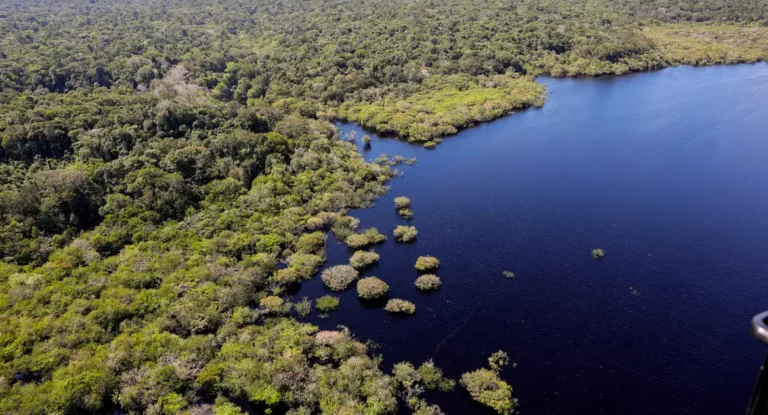 Petrobras e BNDES fazem parceria para restauração na Amazônia