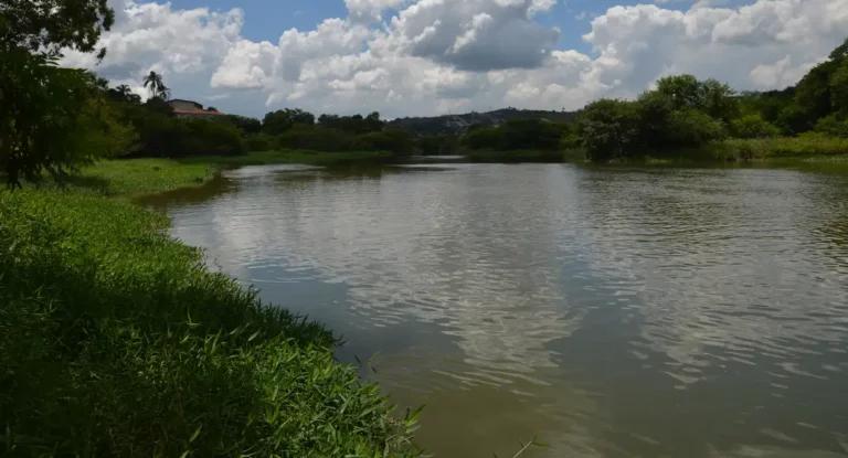 População pode opinar sobre cobrança por uso de água pública