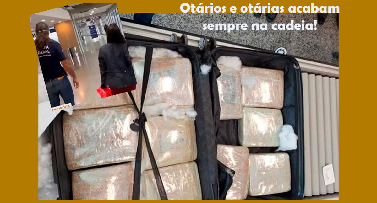 Ignaros, parvos, néscios: sinônimos de idiotas para os que querem ganhar dinheiro fácil sendo mulas do tráfico - News Rondônia