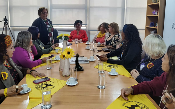 Mulheres de Rondônia demandam ações em Brasília pelo fim da violência contra mulheres - News Rondônia