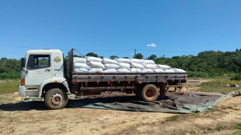 Apoio da Prefeitura de Porto Velho fortalece agricultura familiar - News Rondônia