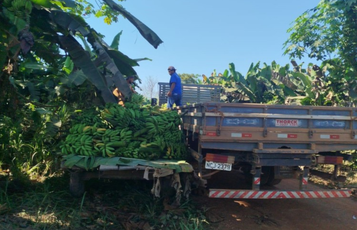 Município atende ao homem do campo com transporte dos produtos da agricultura familiar - News Rondônia