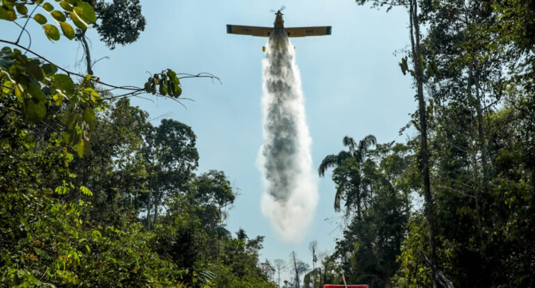 Rondônia alcança menor taxa de desmatamento na Amazônia