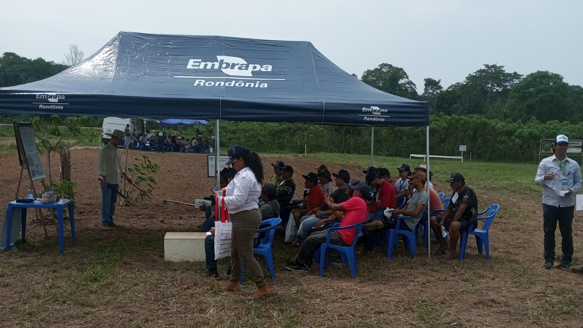 Prefeitura de Porto Velho participa do Projeto Dia de Campo da Mandioca sobre rumos da mandiocultura para Rondônia - News Rondônia