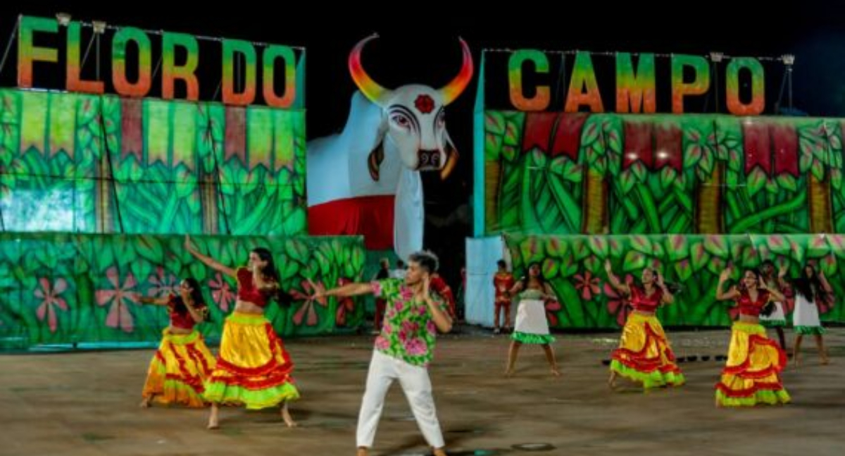 Bois-bumbás encantam Guajará-Mirim em segunda noite de apresentações no Bumbódromo Márcio Manacho - News Rondônia