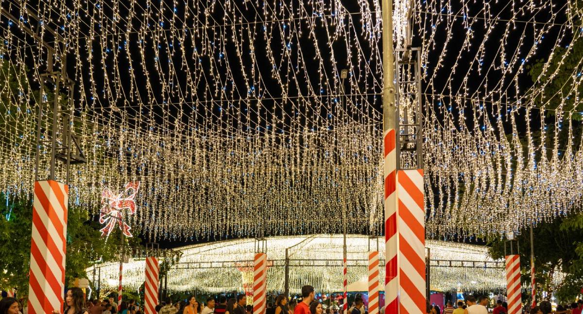 Teatro com Kira Garcez e show do Padre Alessandro Campos fazem parte da programação no Parque da Cidade neste fim de semana - News Rondônia