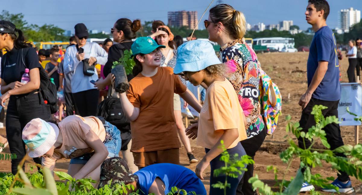 Prefeitura transforma Porto Velho em uma cidade mais arborizada e sustentável - News Rondônia Prefeitura transforma Porto Velho em uma cidade mais arborizada e sustentável - News Rondônia