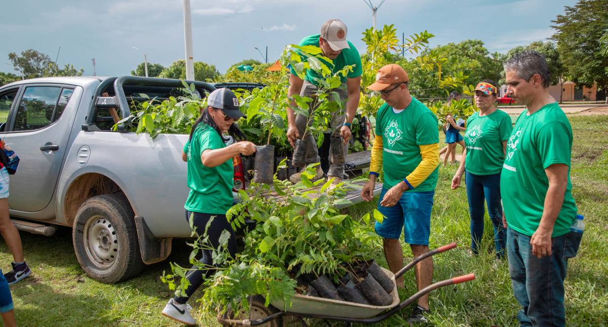 Prefeitura transforma Porto Velho em uma cidade mais arborizada e sustentável - News Rondônia Prefeitura transforma Porto Velho em uma cidade mais arborizada e sustentável - News Rondônia