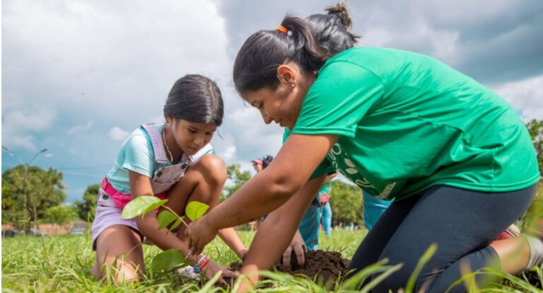 Prefeitura transforma Porto Velho em uma cidade mais arborizada e sustentável - News Rondônia