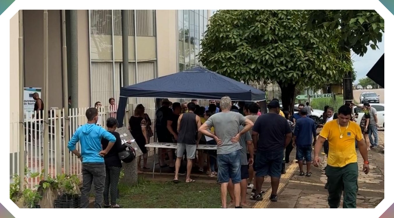 Ibama distribui 10 mil mudas para a população de Porto Velho - News Rondônia