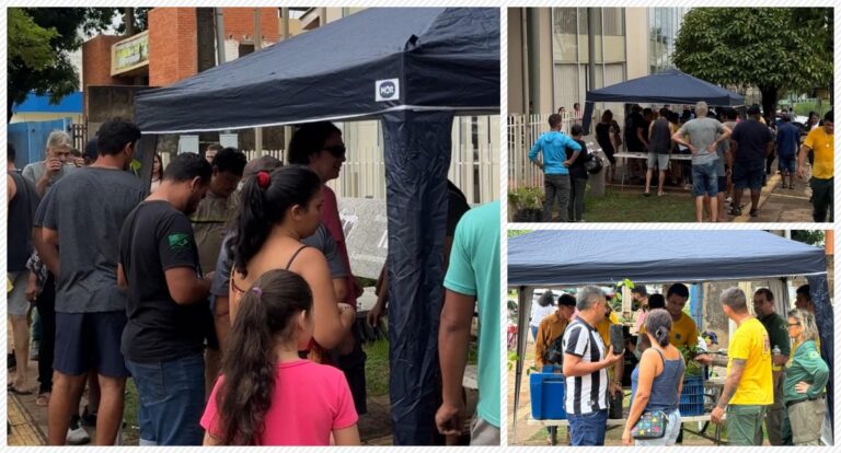 Ibama distribui 10 mil mudas para a população de Porto Velho - News Rondônia