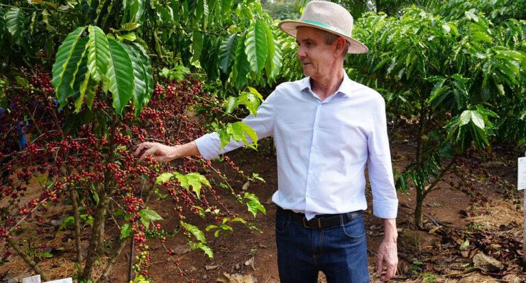 JAIME BAGATTOLI: Comissão de Agricultura aprova relatório do senador que oficializa o Pronaf e o Plano Safra da Agricultura Familiar - News Rondônia