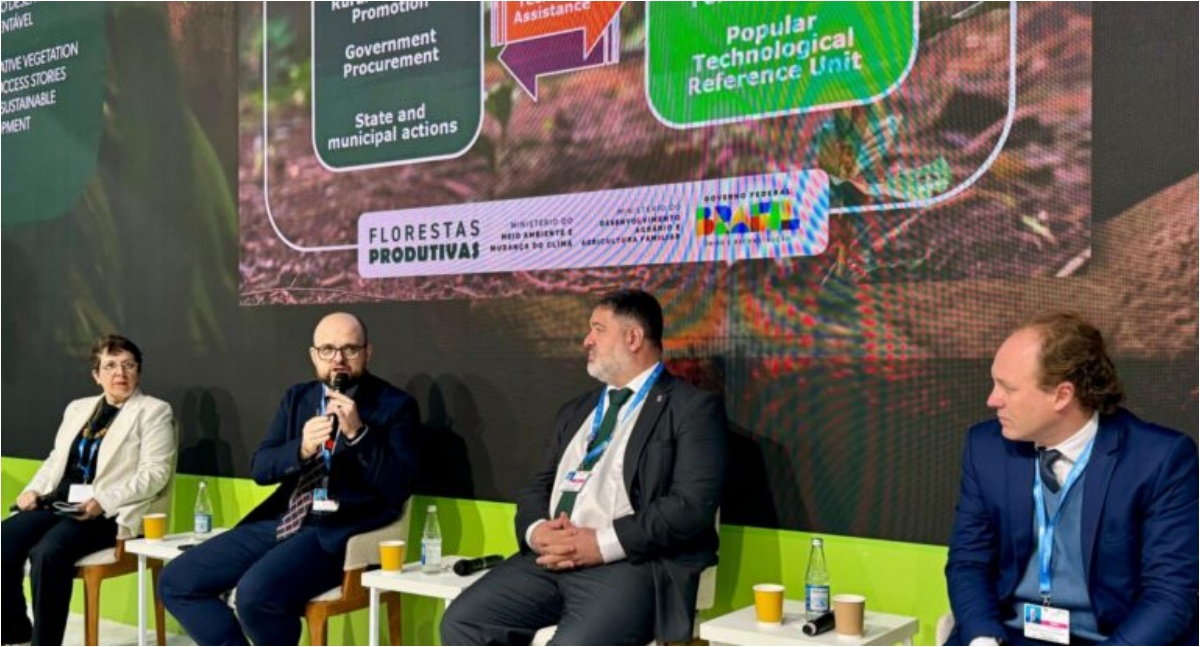 Governo de RO discute restauração da vegetação nativa na Amazônia durante COP29 - News Rondônia