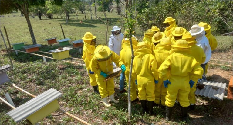 Prefeitura de Porto Velho e Jirau Energia realizam curso de apicultura sustentável para mulheres da agricultura familiar