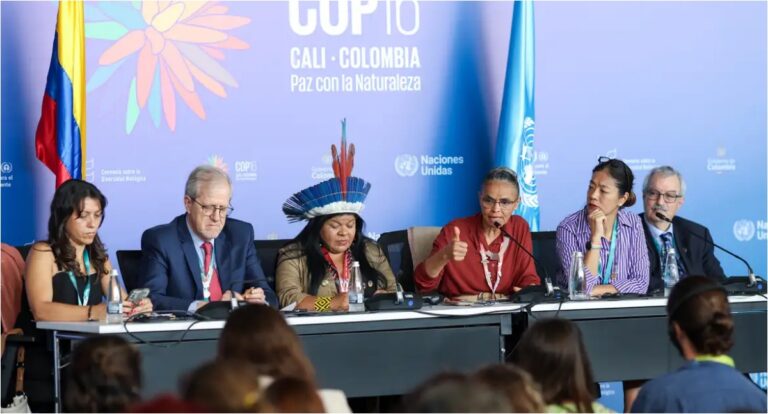 COP16 cria órgão para atender povos indígenas e quilombolas