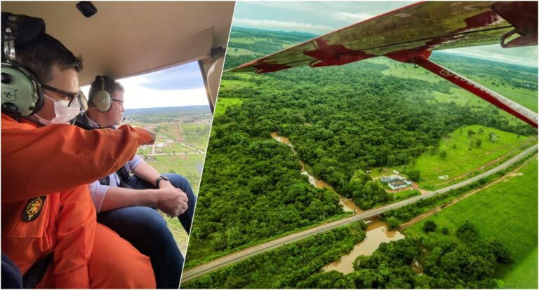 Rondônia é líder em controle de desmatamento na Amazônia Legal, destaca Ministério do Meio Ambiente - News Rondônia