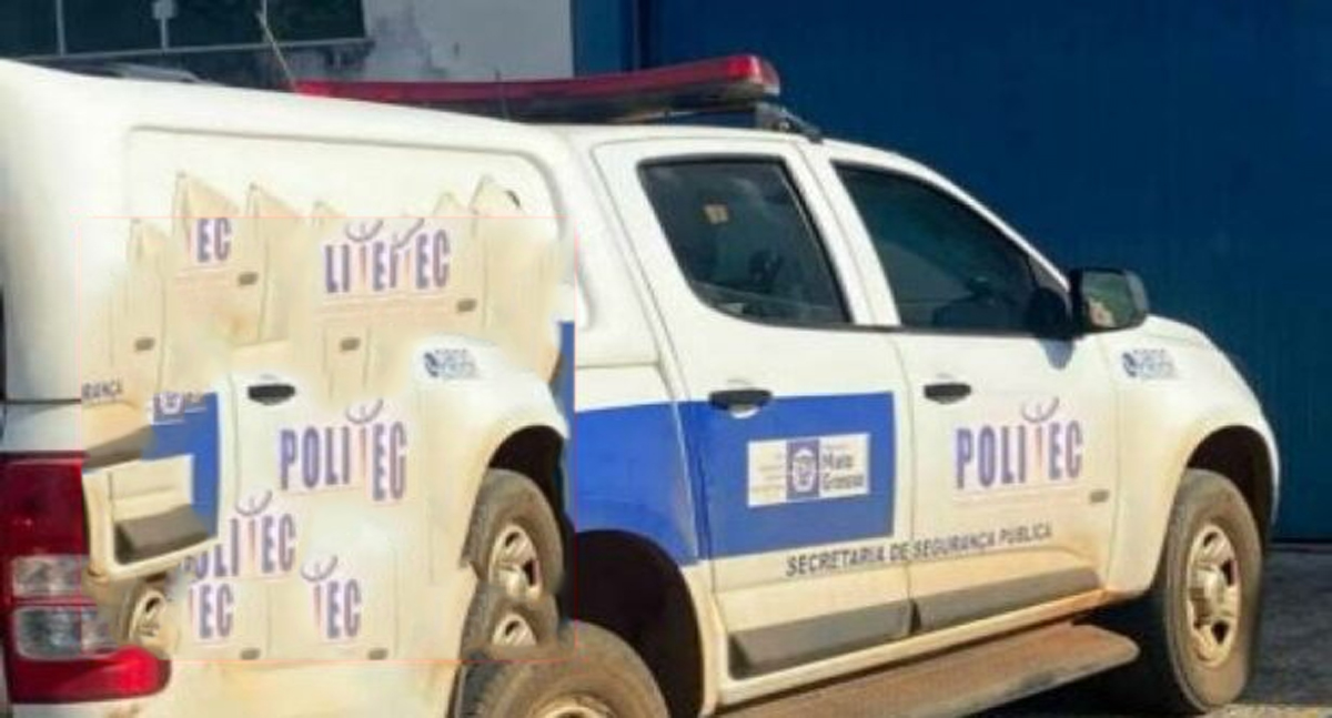 Homem presencia pitbull atacando sua mula de carroça, sofre mal súbito e morre