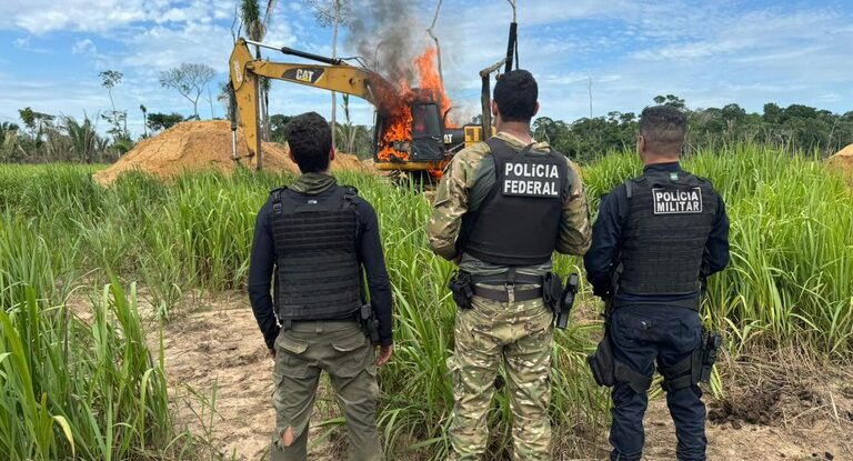 PF deflagra a Operação Andyrá em combate a crimes ambientais em Rondônia