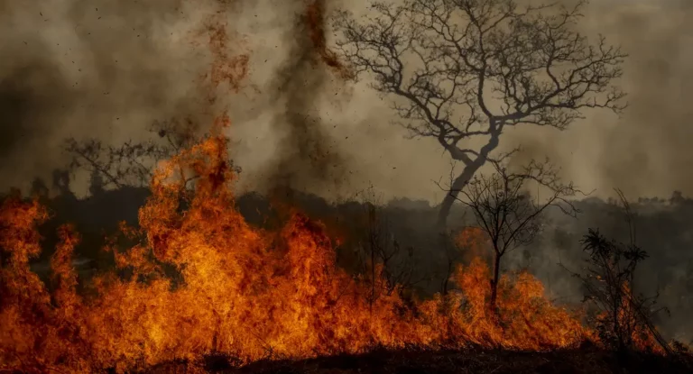 Desastres climáticos aumentaram 250% nos últimos quatro anos no país