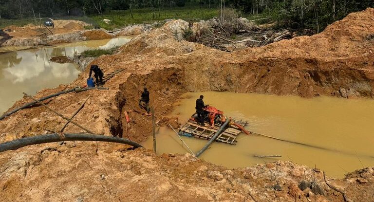 PF deflagra a Operação Andyrá em combate a crimes ambientais em Rondônia