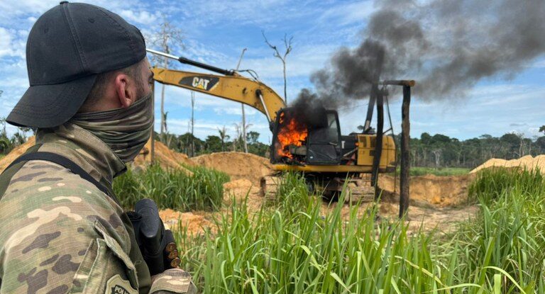 PF deflagra a Operação Andyrá em combate a crimes ambientais em Rondônia