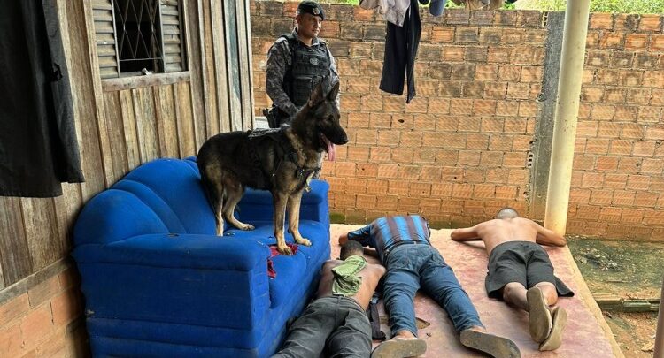 Operação resulta em prisões, apreensão de drogas e arma, em Jaru