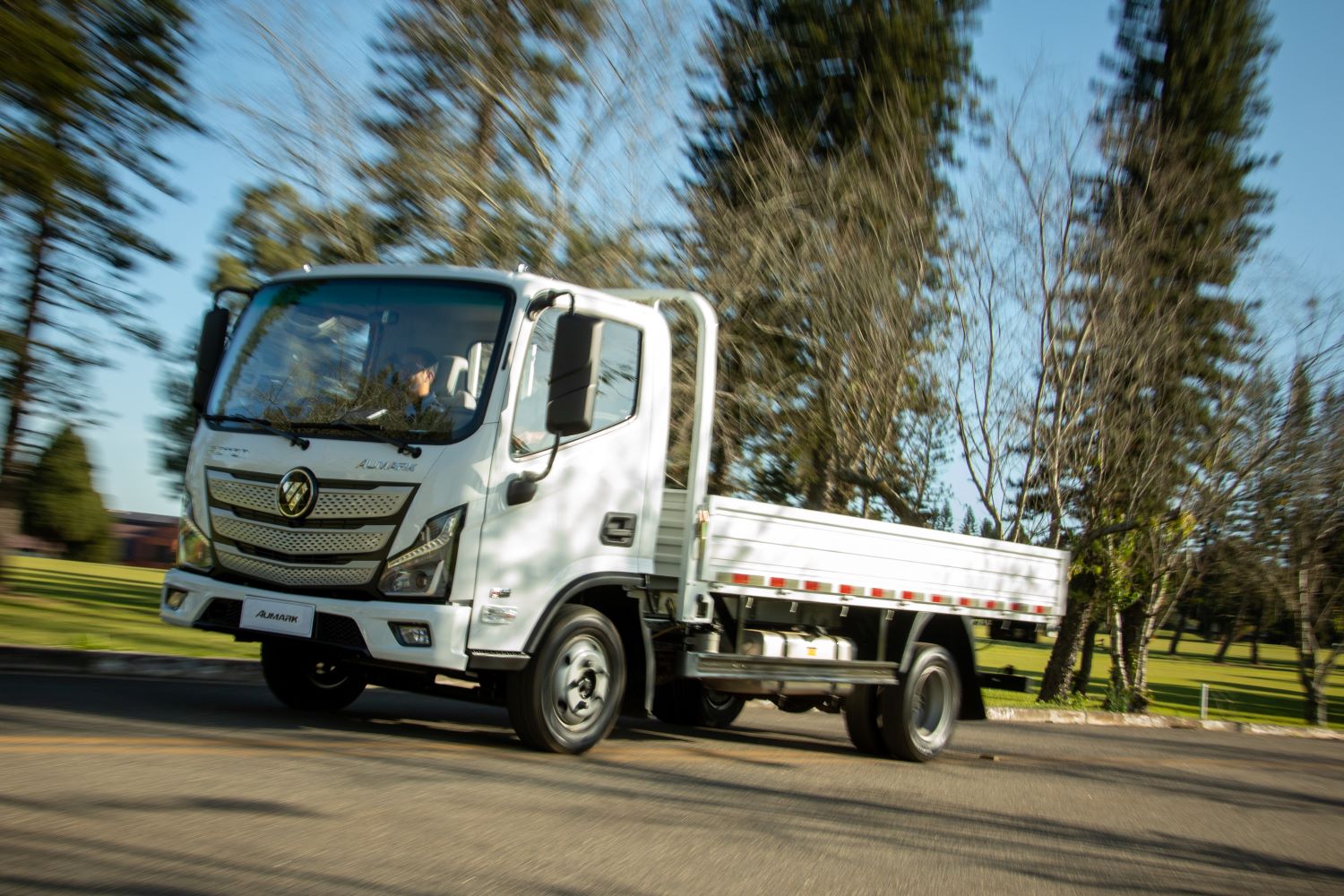 Foton inicia comercialização do Aumark S 315 AMT no Brasil - News Rondônia