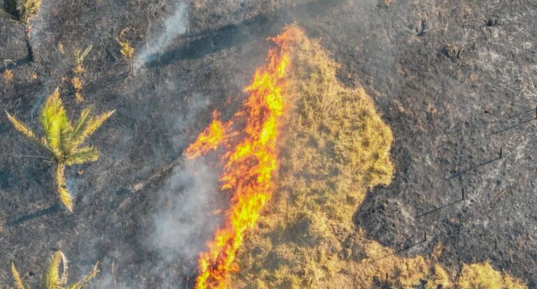 Prefeitura segue com fiscalização e combate às queimadas em Porto Velho - News Rondônia