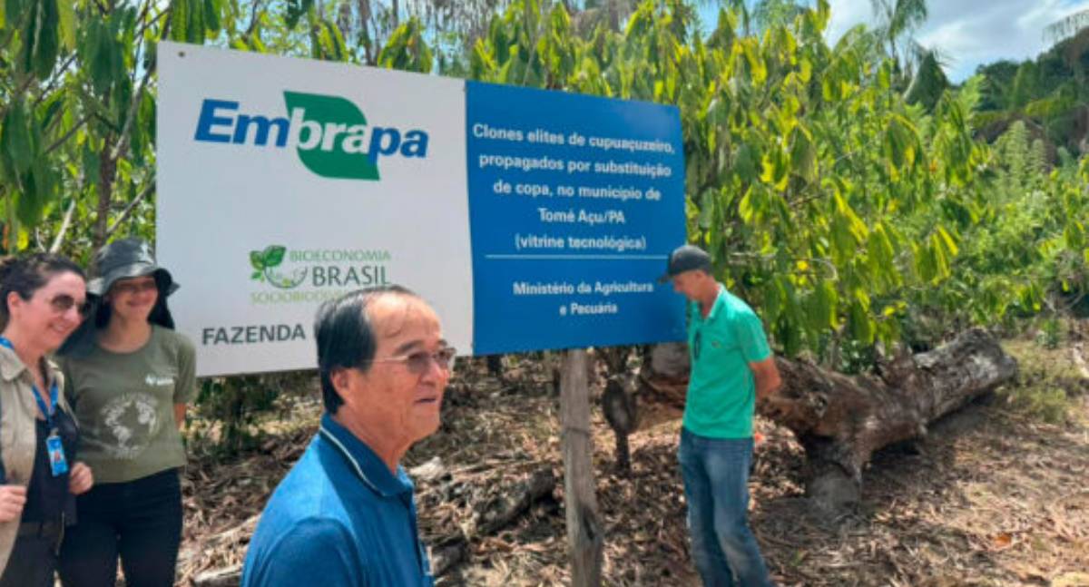 Produtores de Rondônia participam de missão técnica no Pará e conquistam 2º e 3º lugares como melhor cacau do Brasil - News Rondônia