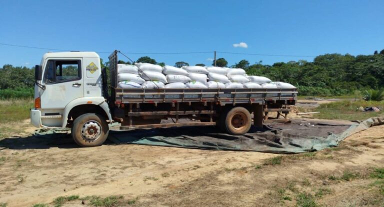 Prefeitura de Porto Velho impulsiona pequenos produtores com programas e suporte contínuo - News Rondônia