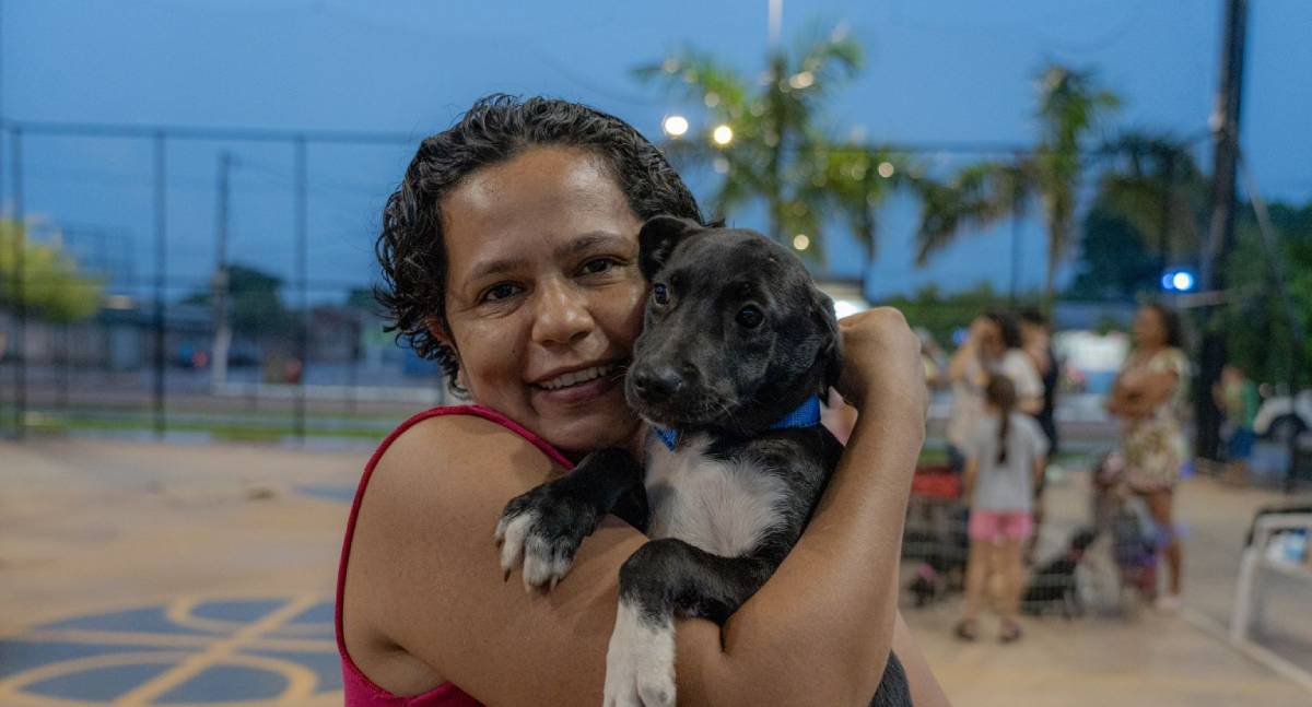 Feiras de adoção de cães e gatos já resultam em mais de 500 animais adotados na gestão Hildon Chaves - News Rondônia Feiras de adoção de cães e gatos já resultam em mais de 500 animais adotados na gestão Hildon Chaves - News Rondônia