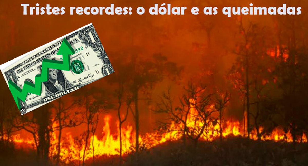 Que se engane quem quiser, mas nosso Brasil anda célere para trás, com tantos recordes lamentáveis - News Rondônia