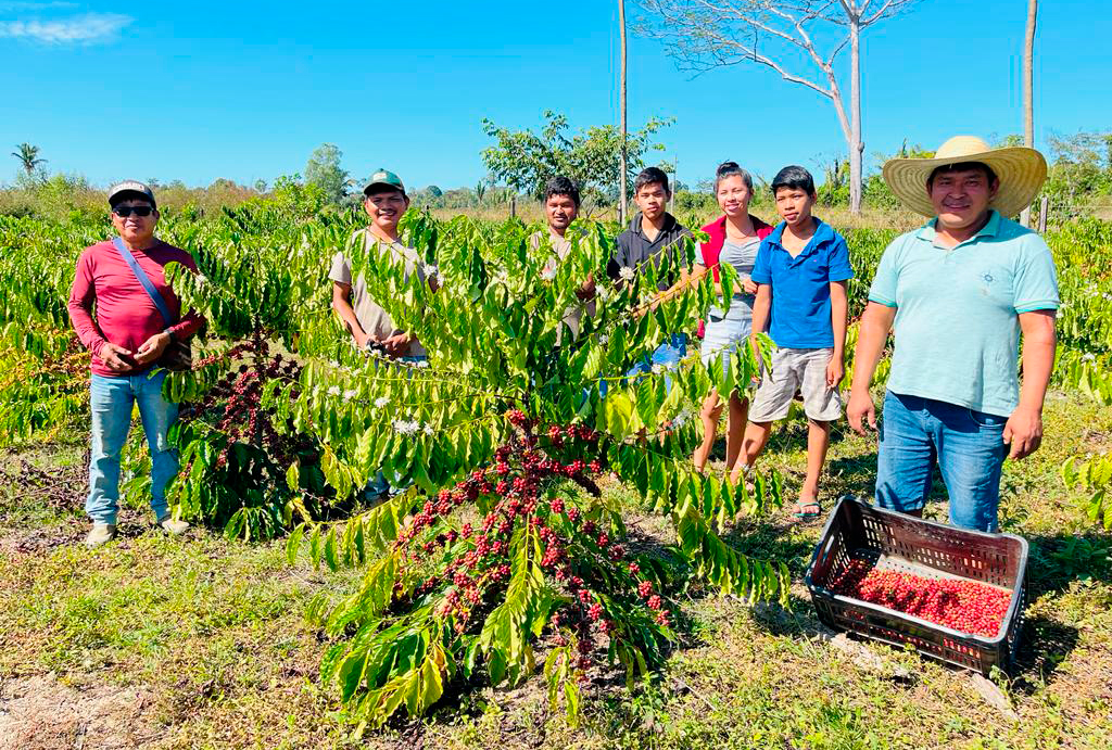 Governo de RO publica Edital de Chamada Pública para Programa de Aquisição de Alimentos Indígena - News Rondônia