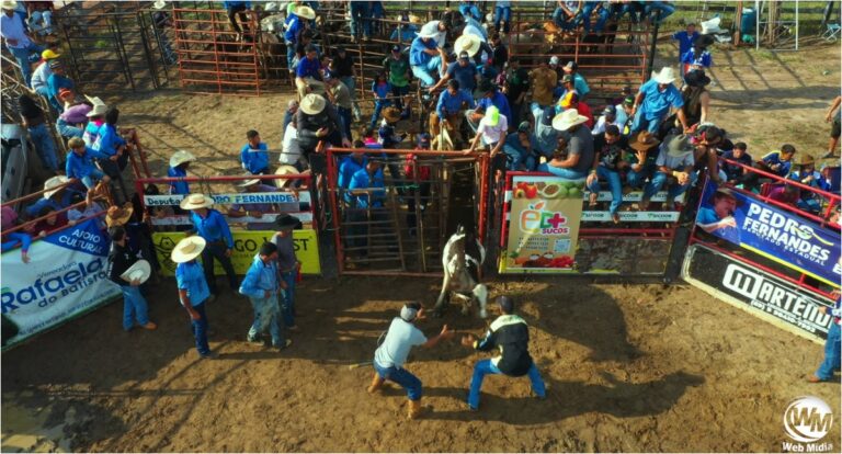 Deputado Pedro Fernandes celebra aprovação de projeto que impulsiona cultura rural
