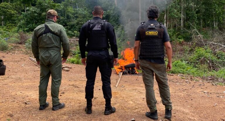 PF dá início à 4ª fase da Operação Greenwashing, visando combater crimes de apropriação de terras públicas e delitos ambientais