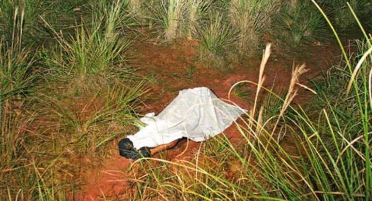 Corpo com marca de tiro na cabeça e sinais de violência é encontrado na zona rural de Colorado do Oeste