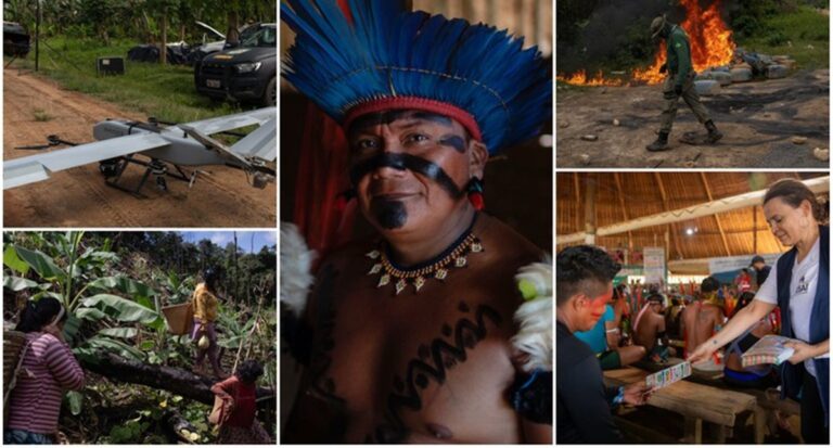 Dois anos de ações federais na Terra Yanomami: garimpo ilegal despenca e mortes por desnutrição caem 68% - News Rondônia