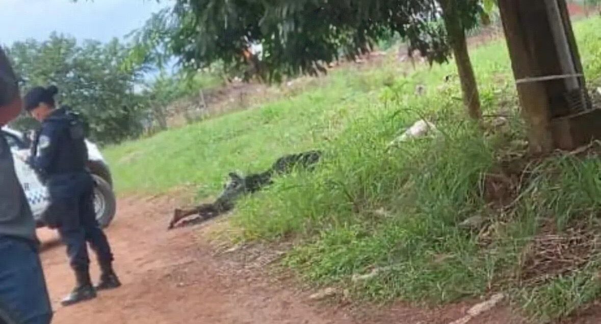 Corpo carbonizado é encontrado na manhã deste sábado