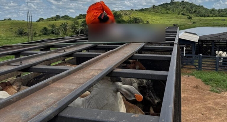 Motorista de caminhão boiadeiro morre vítima de descarga elétrica