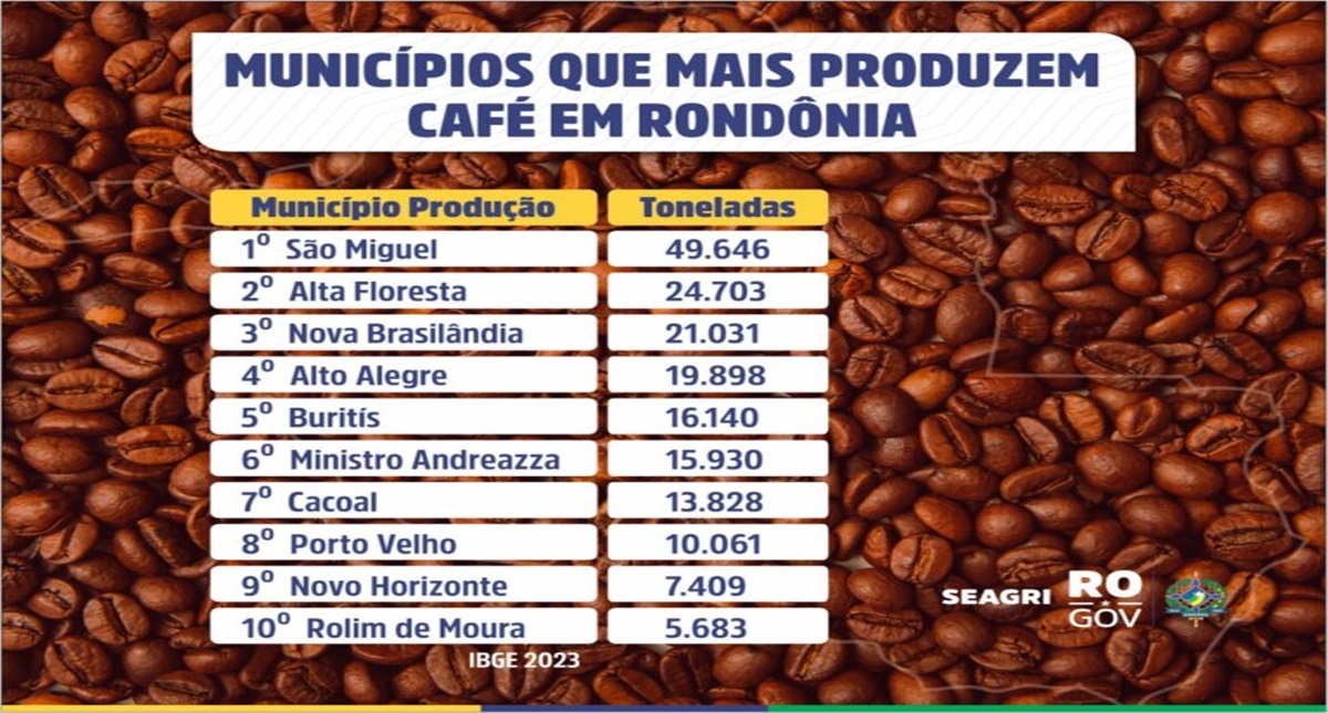 Municípios de Rondônia se destacam como grandes produtores de café - News Rondônia