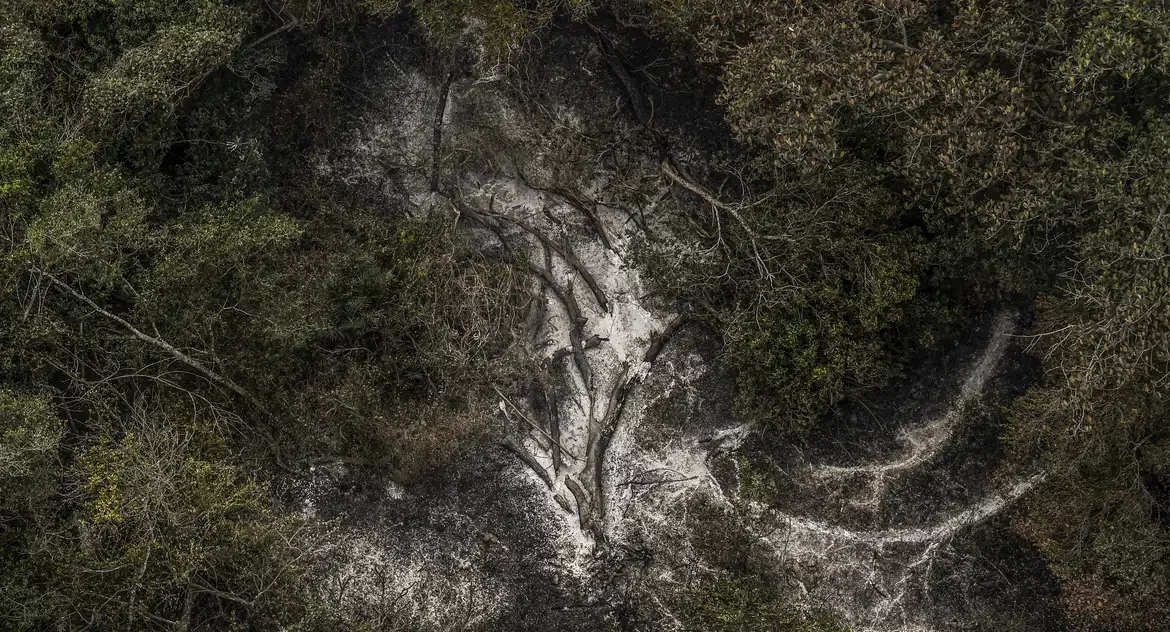 AGU cobra R$ 725 milhões de acusados por danos ambientais no Pantanal