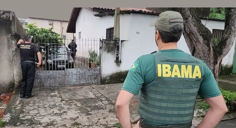 Operação da PF e Ibama apreende 33 animais em posse de traficantes