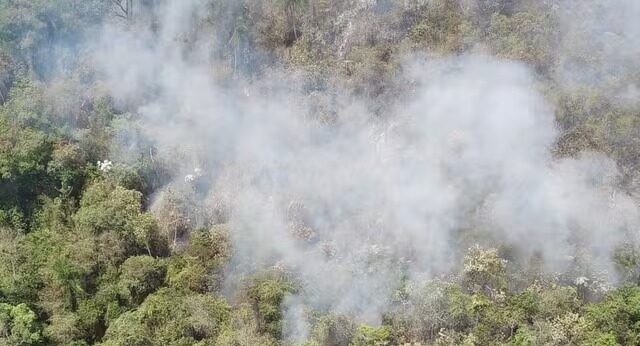 Suspeito de causar incêndio florestal que matou mais de 50 cabeças de gado em Rondônia é preso