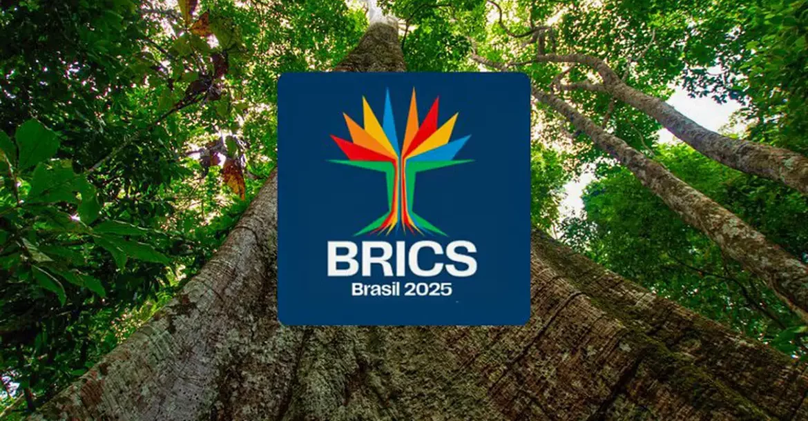Brics têm mais de 40% da população e 37% do PIB mundiais - News Rondônia