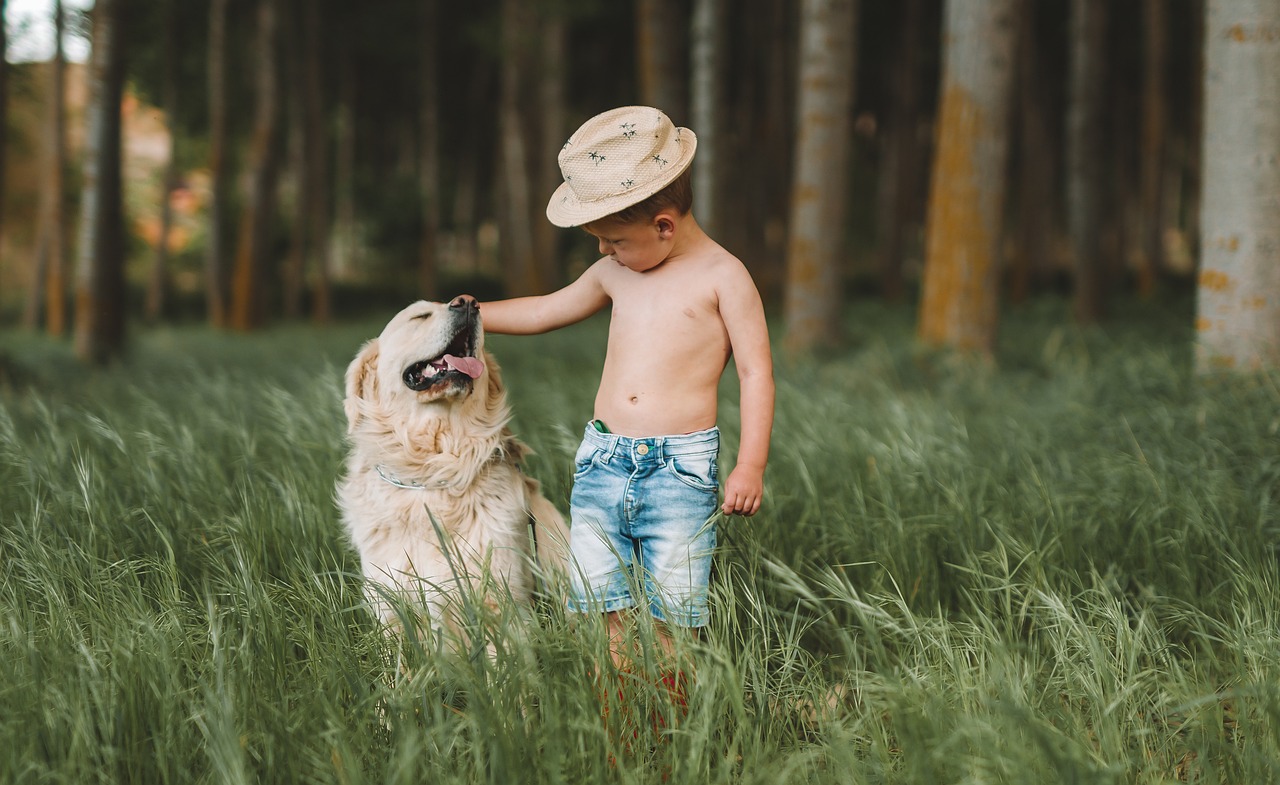 Brincadeiras que aproximam crianças e pets durante as férias - News Rondônia Brincadeiras que aproximam crianças e pets durante as férias - News Rondônia