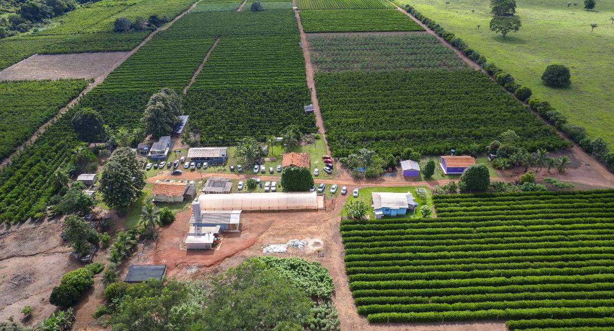 Crescimento da cafeicultura em Rondônia impulsiona visitas à Rota Turística do Café