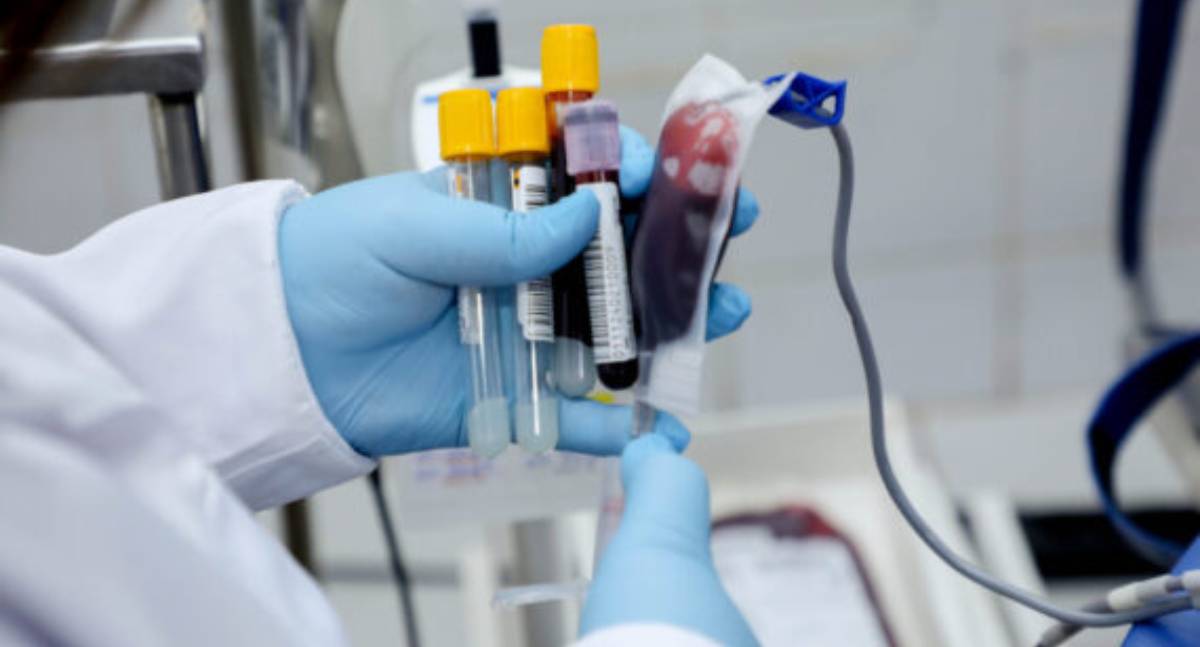 Governo de RO intensifica campanhas de doação de sangue para salvar vidas - News Rondônia Governo de RO intensifica campanhas de doação de sangue para salvar vidas - News Rondônia