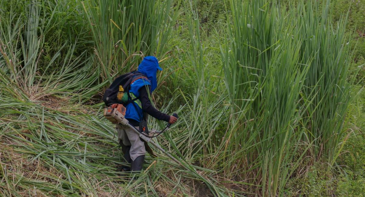 Mão de obra de reeducandos reforça operação de limpeza em Porto Velho - News Rondônia